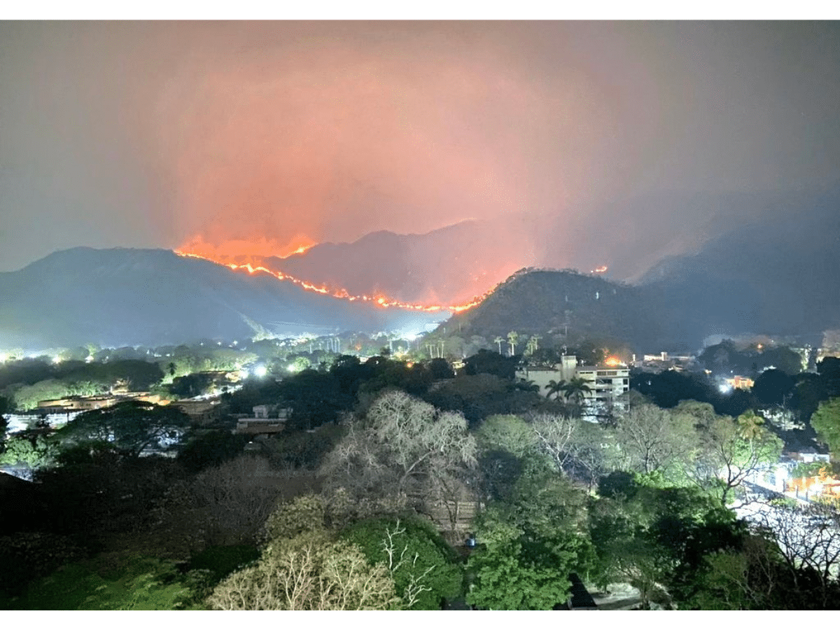 Incendios Forestales Afectan A La Flora Y Fauna Del Parque Nacional